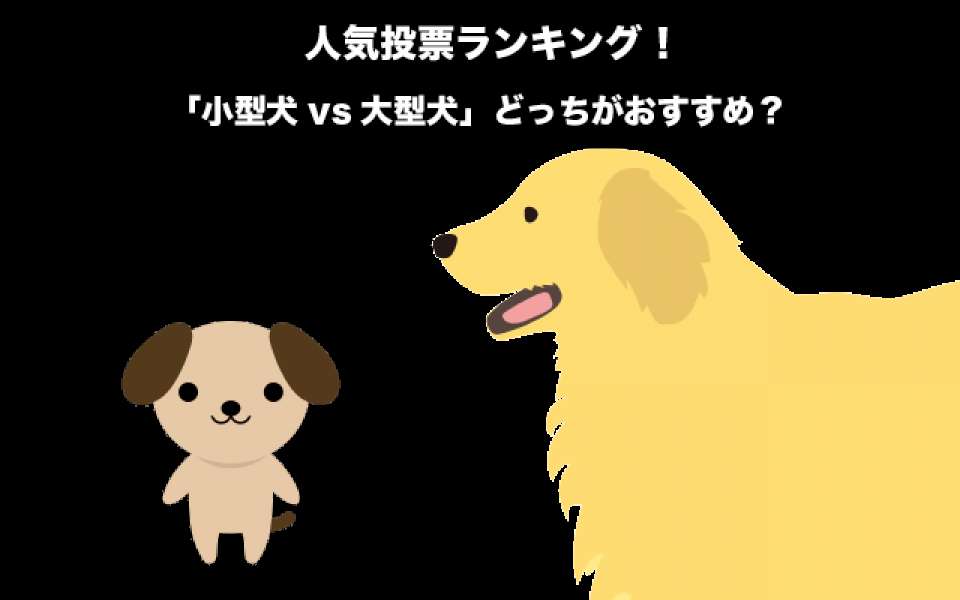 【犬を飼うなら】「小型犬vs大型犬」どっちがおすすめ？人気投票実施中！