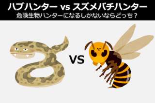 【ハブハンター vs スズメバチハンター】危険生物ハンターになるしかないならどっち？人気投票中！