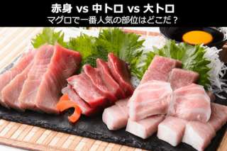 【赤身 vs 中トロ vs 大トロ】マグロで一番人気の部位はどこだ？人気投票中！