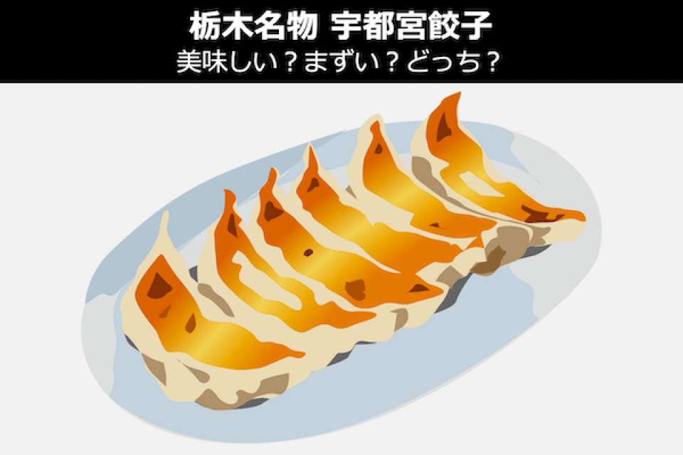【宇都宮餃子】美味しい？まずい？どっち？人気投票！栃木県のお土産＆名物