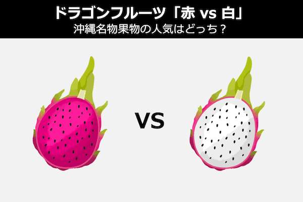 ドラゴンフルーツ「赤 vs 白」沖縄名物果物の人気はどっち？違い比較＆人気投票
