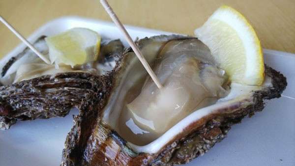  牡蠣は栄養価抜群！【牡蠣】に含まれる栄養素と効能