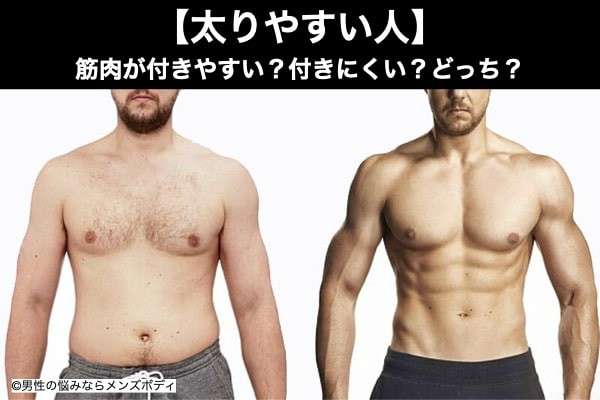 太りやすい人は 筋肉が付きやすい 付きにくい どっち アンケート調査結果発表