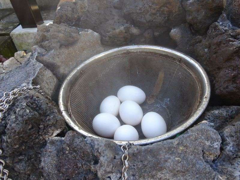 【ゆで卵vs温泉卵】温泉卵の特徴