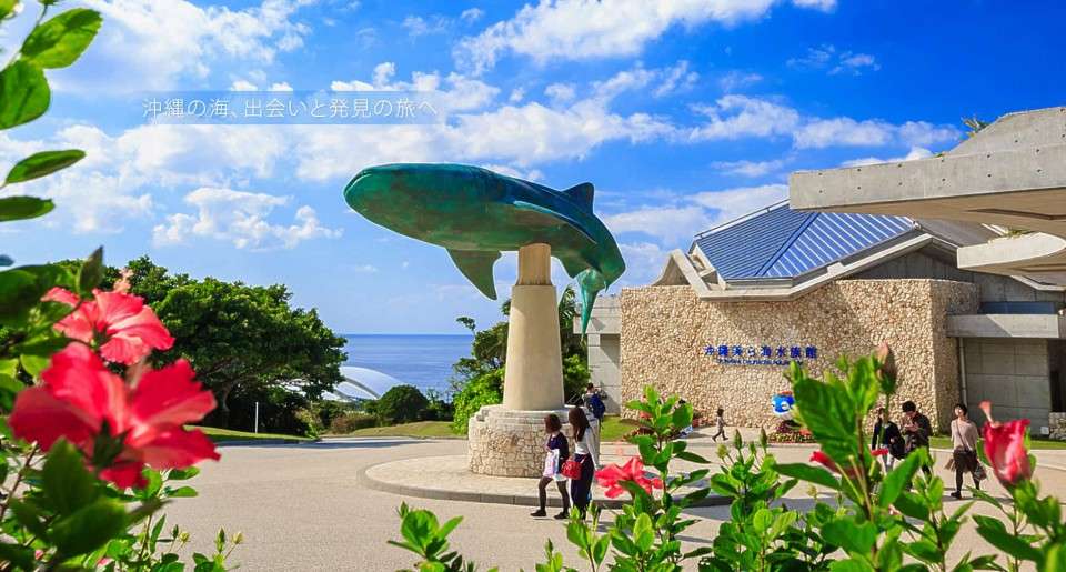 【美ら海水族館 vs 沖縄こどもの国】美ら海水族館の特徴・魅力
