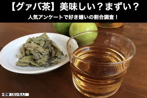 【グァバ茶】美味しい？まずい？どっち？沖縄の銘茶を人気アンケートで好き嫌いの割合調査！