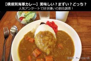 【横須賀海軍カレー】美味しい？まずい？どっち？人気アンケートで好き嫌いの割合調査！