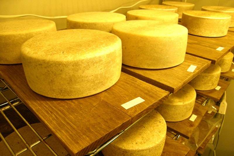 【那須のチーズ】代表的なチーズ工房