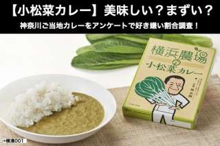 【小松菜カレー】美味しい？まずい？どっち？神奈川ご当地カレーをアンケートで好き嫌い割合調査！