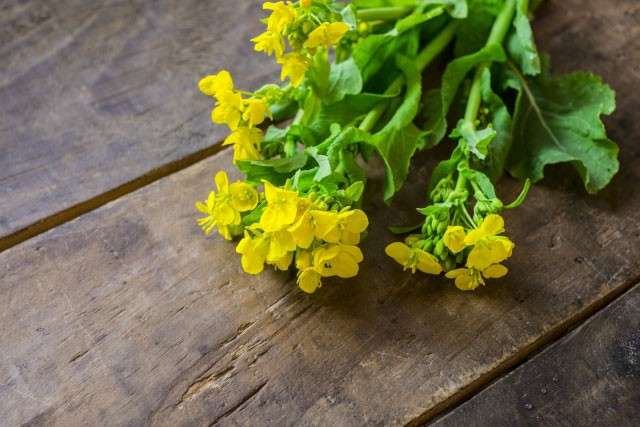菜の花は栄養価抜群！【菜の花】に含まれる栄養素と効能