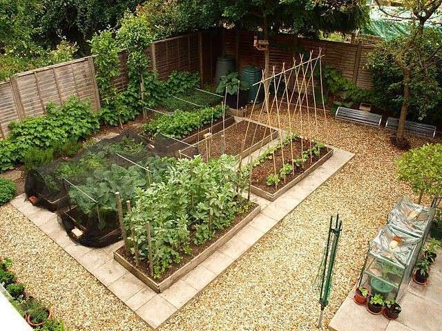 家庭菜園は『なし』という人の意見！