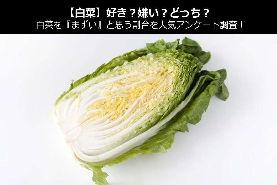 【白菜】好き？嫌い？どっち？白菜を『まずい』と思う割合を人気アンケート調査！