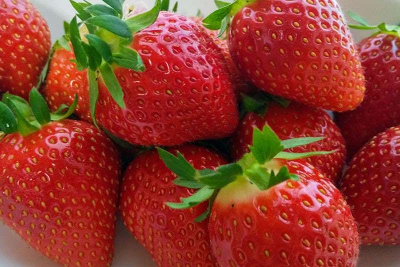 イチゴは栄養価抜群！【イチゴ】に含まれる栄養素と効能