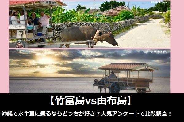 【竹富島vs由布島】沖縄で水牛車に乗るならどっちが好き？人気アンケートで比較調査！