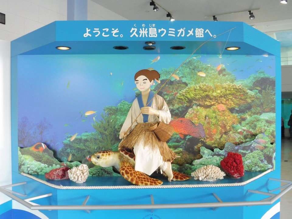【久米島のウミガメ館】の特徴・魅力