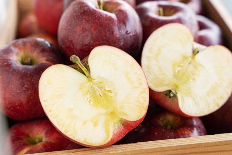 リンゴは栄養価抜群！【リンゴ】に含まれる栄養素と効能