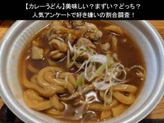 【カレーうどん】美味しい？まずい？どっち？人気アンケートで好き嫌いの割合調査！