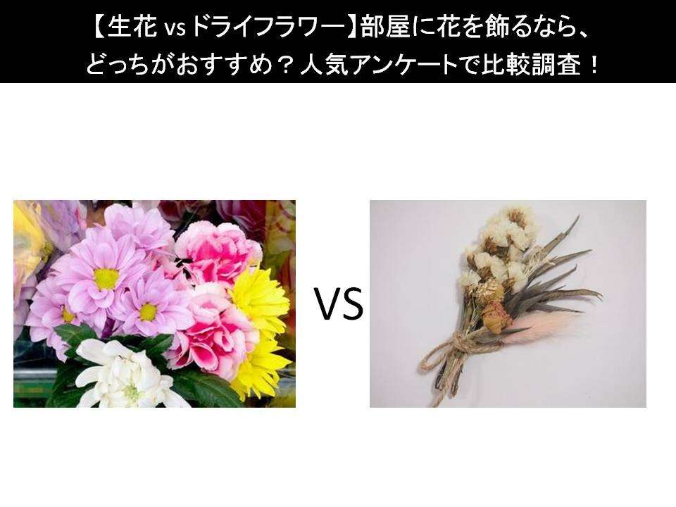 【生花 vs ドライフラワー】部屋に花を飾るなら、どっちがおすすめ？人気アンケートで比較調査！