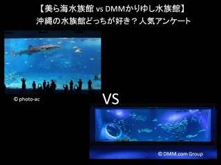 【美ら海水族館 vs DMMかりゆし水族館】沖縄の水族館どっちが好き？人気アンケートで比較調査！