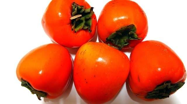 柿の特徴
