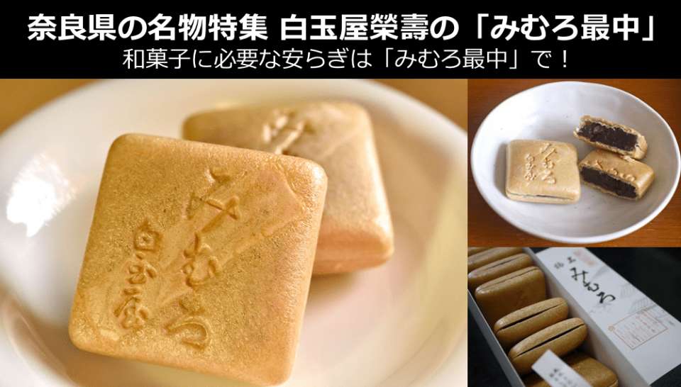 【奈良県のお土産・名物】現地でしか買えない幻の和菓子「みむろ最中」