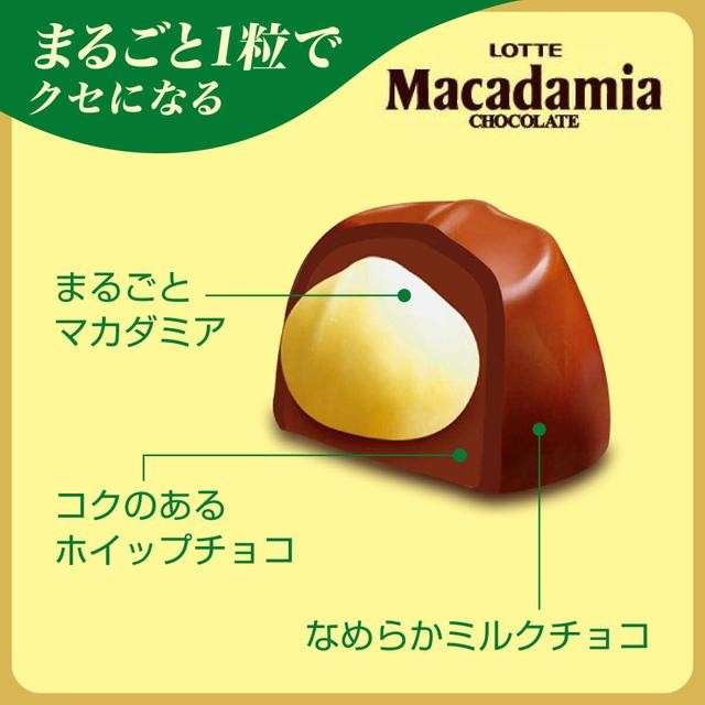 【マカダミアチョコレート】の特徴・魅力