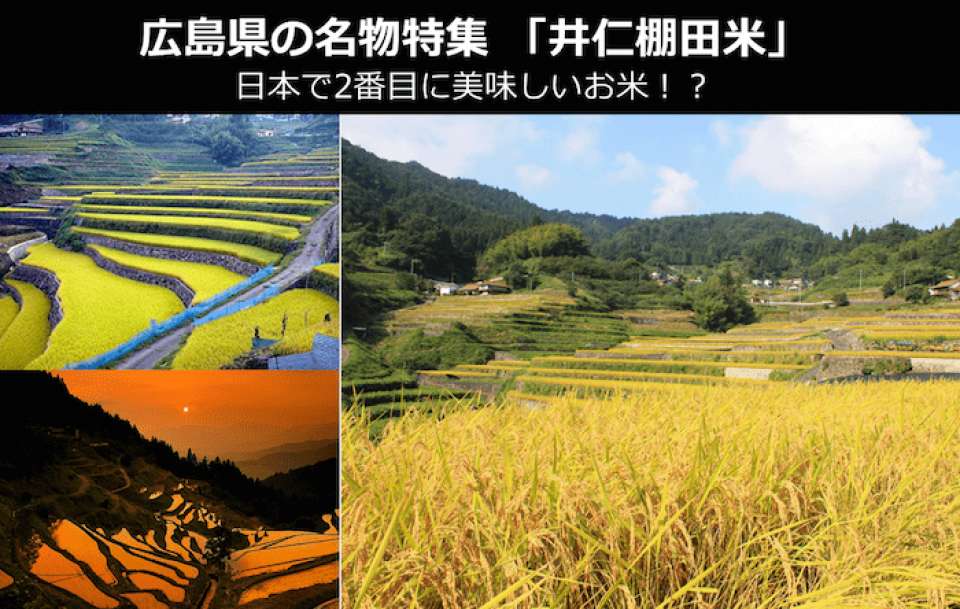 【広島県のお土産・名物】日本で2番目に美味しいお米「井仁棚田米」とは？