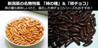 【新潟県 お土産名物】柿の種の進化版「柿チョコ」の犯罪的うまさとは？