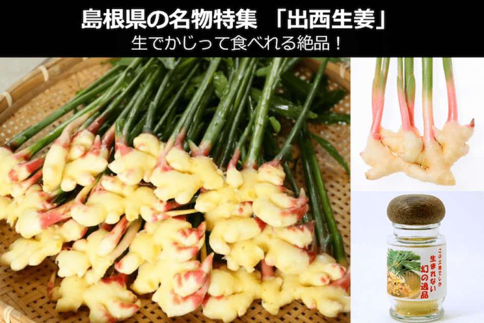 出西生姜は、生でかじって食べれる日本で唯一のショウガ！？~島根県 お土産・名物~