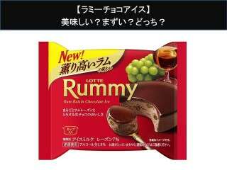 【ラミーチョコアイス】美味しい？まずい？どっち？人気アンケートで好き嫌いの割合調査！