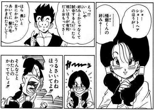 【ドラゴンボール】孫悟飯は好き嫌いが分かれる？