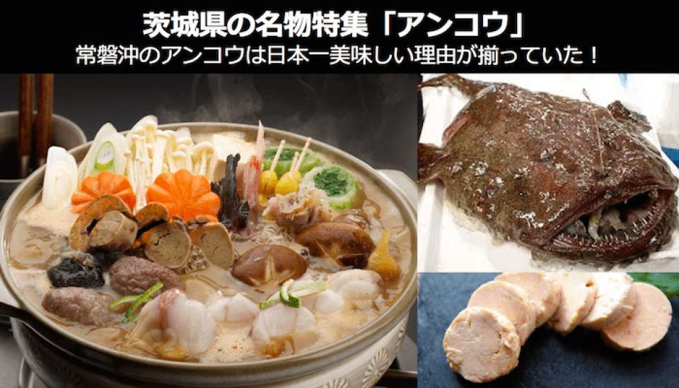 【茨城県 名物/お土産】常磐沖のアンコウは日本一美味しい理由が揃っていた！