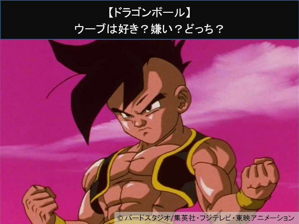 【ドラゴンボール】ウーブは好き？嫌い？どっち？人気アンケート調査！