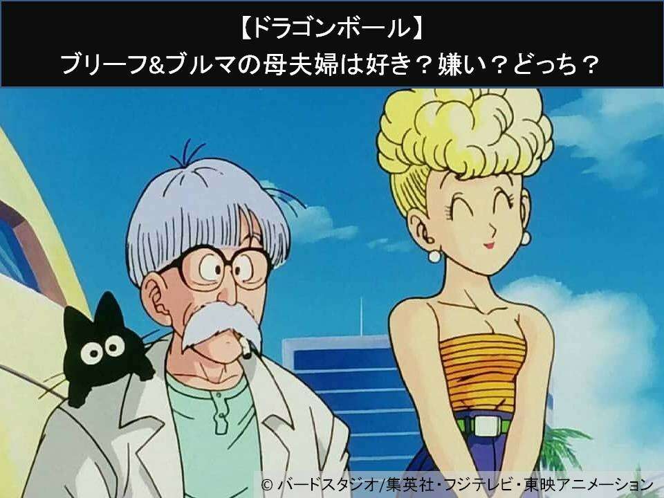 【ドラゴンボール】ブリーフ&ブルマの母夫婦は好き？嫌い？どっち？人気アンケート調査！