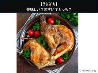 【うさぎ肉】美味しい？まずい？どっち？人気アンケートで好き嫌いの割合調査！