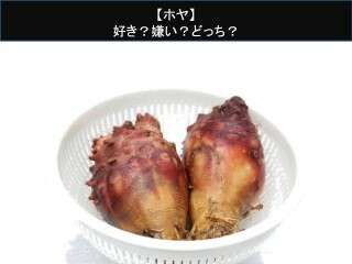 【ホヤ】美味しい？まずい？どっち？人気アンケートで好き嫌いの割合調査！