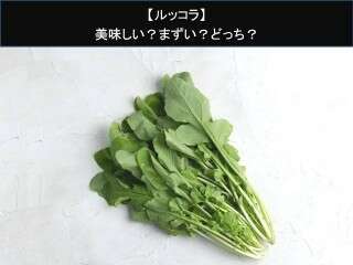 【ルッコラ】美味しい？まずい？どっち？人気アンケートで好き嫌いの割合調査！