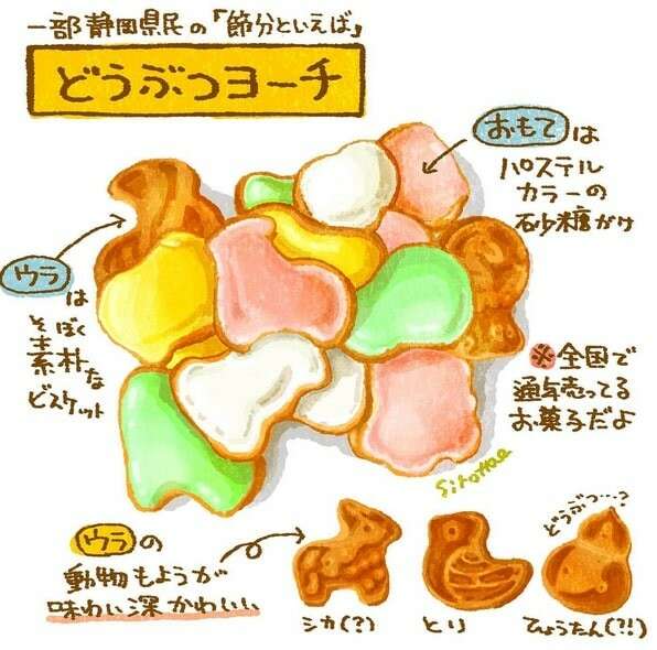 動物ヨーチの特徴