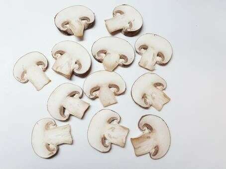  【マッシュルーム】の特徴・魅力