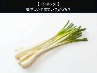【エシャレット】美味しい？まずい？どっち？人気アンケートで好き嫌いの割合調査！