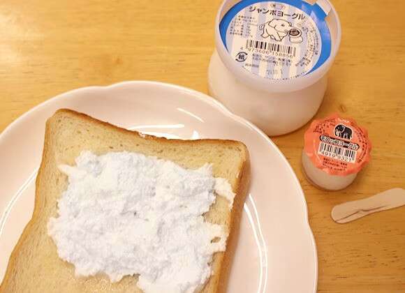  モロッコヨーグルの魅力