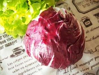  トレビスの特徴