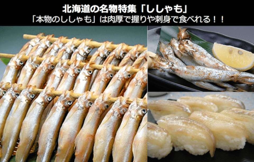 北海道の「本物のししゃも」は肉厚で全然違う！握りや刺身で食べれる美味しさとは？｜北海道お土産/名物