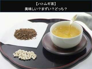 【ハトムギ茶】美味しい？まずい？どっち？