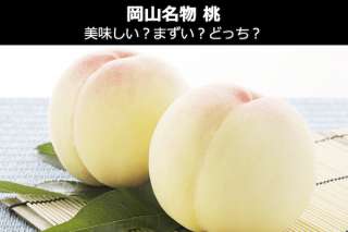 岡山名物「桃」は美味しい？まずい？どっち？