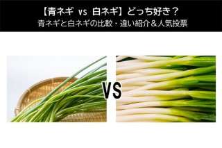 【青ネギ vs 白ネギ】どっち好き？