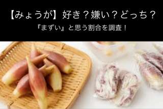 【みょうが】好き？嫌い？どっち？