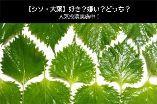 【シソ・大葉】好き？嫌い？どっち？シソ・大葉を『まずい』と思う割合を人気アンケートで調査！