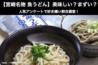 【宮崎名物 魚うどん (ぎょうどん)】美味しい？まずい？どっち？