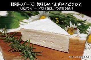 【那須のチーズ】美味しい？まずい？どっち？人気アンケートで好き嫌いの割合調査！